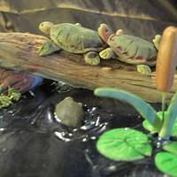 Turtle birthday cake