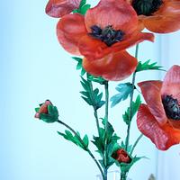 Wafer paper Poppies 