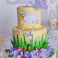 Batterfly garden cake !