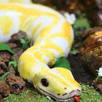 The Albino Snake