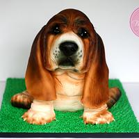 Basset Hound Puppy Cake