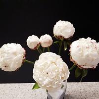 Sugar peonies Sugar peonies
