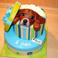 box cake with dogie