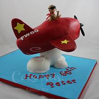 3D Plane Cake