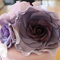 Purple shades of Roses