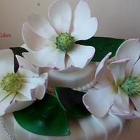 Glamour y magnolias