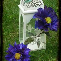 Waffer paper clematis