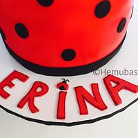 Ladybug theme cake!
