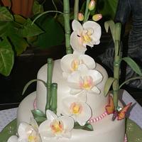 Phalaenopsis Orchid Wedding