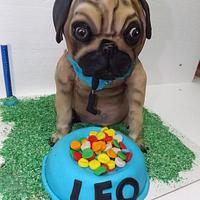 Leo The Pug