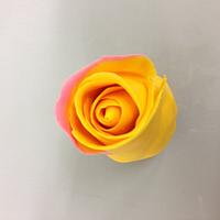Yellow center pink edged icing Rose