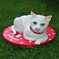 White cat White cat