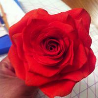 My first gumpaste rose.
