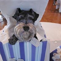 Schnauzer Dog Cake