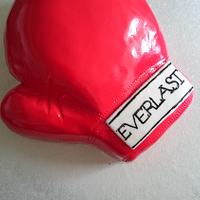 Boxing glove 