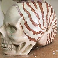 Skull shells