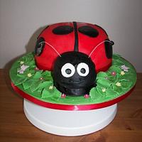 Ladybug cake!