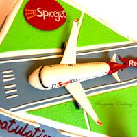 Spicejet Airlines themed Cake