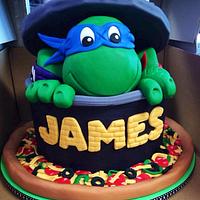 Cowabunga! Is It Time For James' Birthday Yet, Dude?