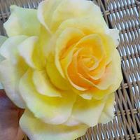 yellow freeform rose