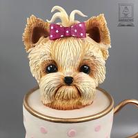 Dog in a tea cup