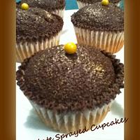 Chocolate Sprayed Cupcakes
