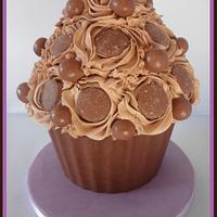 Chocolicious Giant Cupcake