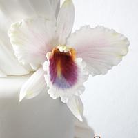Orquidea Cattleya - Orchid Cattleya Gumpaste 
