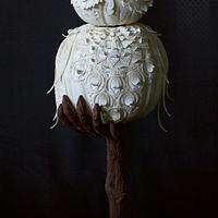 Owl pumpkin !!
