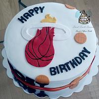 Miami Heat Birthday Cake