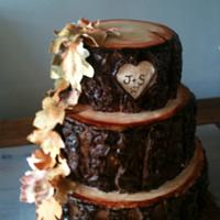 Tree trunk wedding cake.