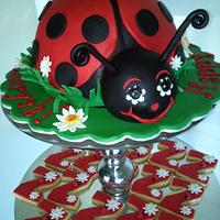 Lady bug cake and "Z" cookies for Zaryah's 1st birthday