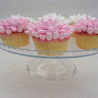 Marshmallow Cupcakes!