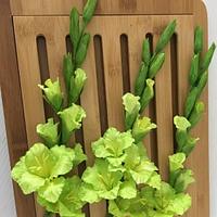 Green Gladiolus