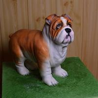 Bulldog cake
