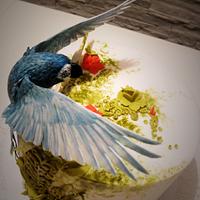 sugar parrot cake