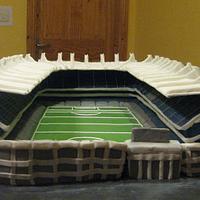 Croke Park Stadium cake