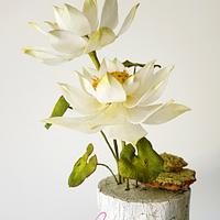 "Crackled Lotus Flower Cake" by Sophia Fox