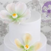 Pretty flowers cake 