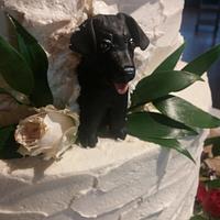 Sneaking your dogs into your wedding via the cake!