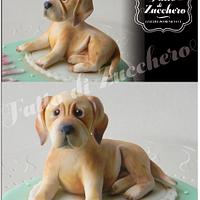 Labrador Cake