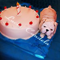 puppy and cake