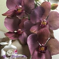 New passion...Orchid airbrushed