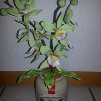 Orchid Part I