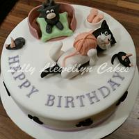 Cat Birthday Cake