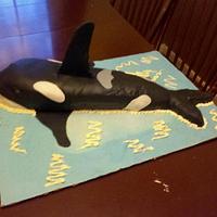 Whale of a cake 
