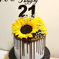 Sunflower Cake Sunflower Cake