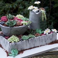 60 Birthday cake Flowers succulent cactus