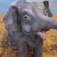 United-Borneo Pygmy Elephant