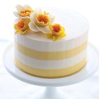 Bean Paste Daffodil cake 